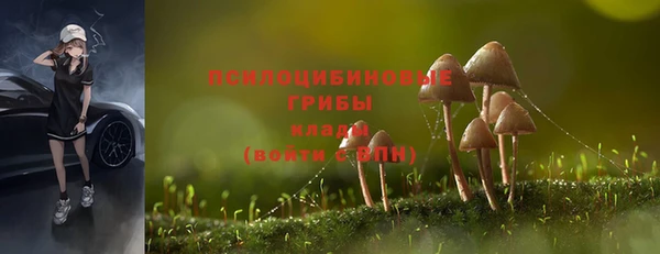 эйфоретик Алексеевка
